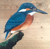 Anne Broekhoff Kunst