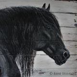 Anne Broekhoff Kunst
