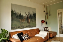 Anne Broekhoff Kunst