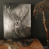 Anne Broekhoff Kunst
