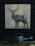 Anne Broekhoff Kunst