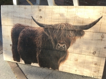 Anne Broekhoff Kunst