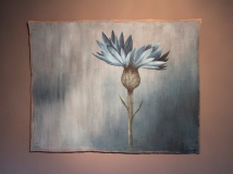Anne Broekhoff Kunst