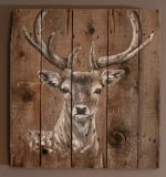 Anne Broekhoff Kunst