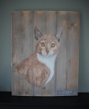 Anne Broekhoff Kunst