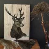 Anne Broekhoff Kunst